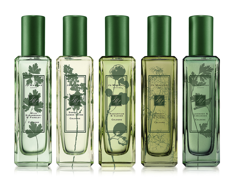 عطر ادکلن سورل و لیمون تایم جو مالون لندن - Sorrel & Lemon Thyme Jo Malone London - بررسی، قیمت و خرید