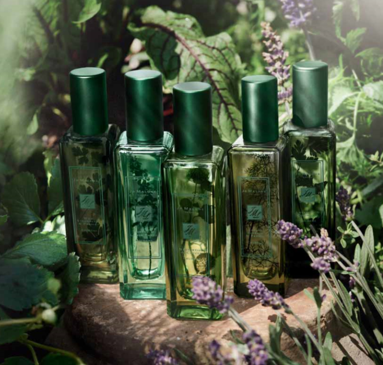 عطر ادکلن سورل و لیمون تایم جو مالون لندن - Sorrel & Lemon Thyme Jo Malone London - بررسی، قیمت و خرید