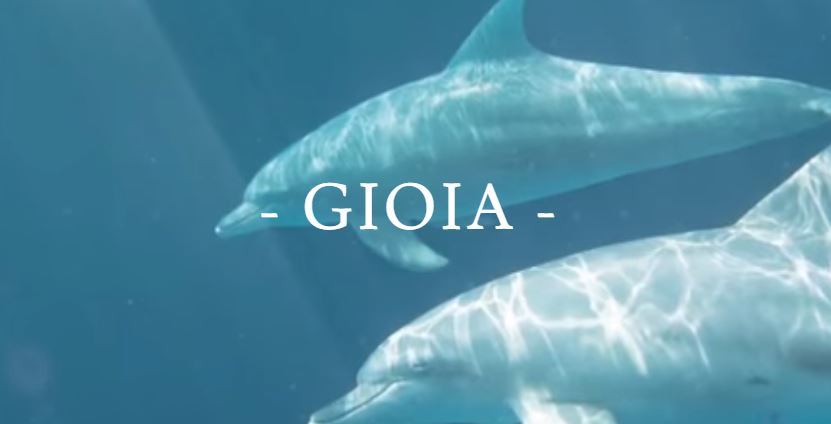 عطر ادکلن جوییا ناتور میلان - Gioia Natur Milano - بررسی، قیمت و خرید