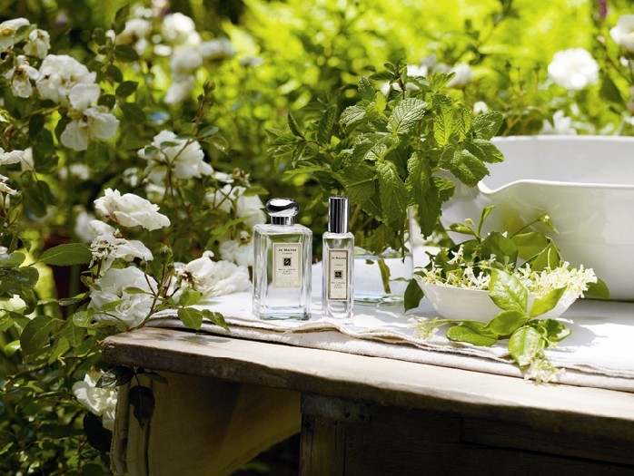 عطر ادکلن هانیساکل اند جاسمین جو مالون لندن - Honeysuckle & Jasmine Jo Malone London - بررسی، قیمت و خرید