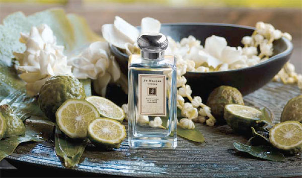 عطر ادکلن سوییت لایم اند سدر جو مالون لندن - Sweet Lime & Cedar Jo Malone London - بررسی، قیمت و خرید