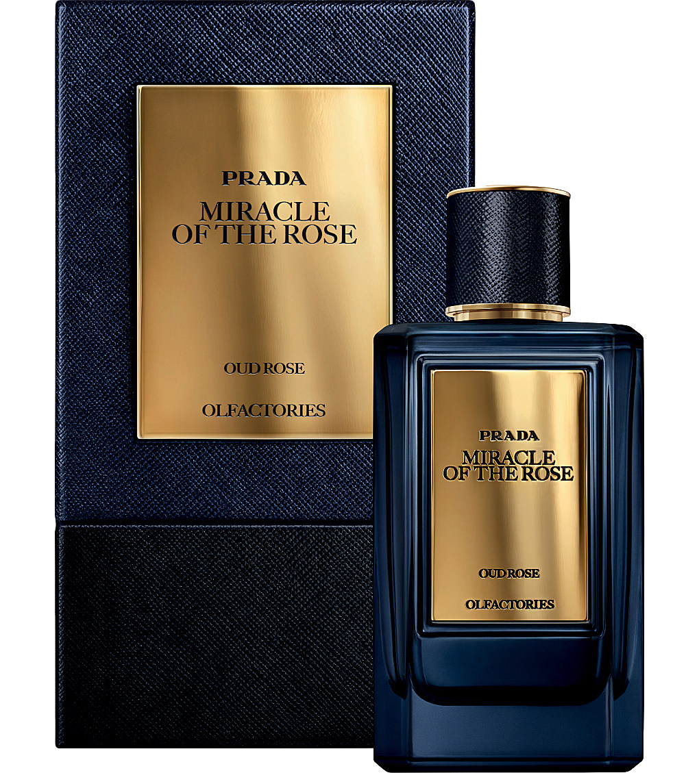 عطر ادکلن میراژز میراکل آو د رز پرادا - Mirages Miracle of the Rose Prada - بررسی، قیمت و خرید