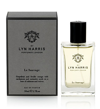عطر ادکلن لین هریس له سووج مارکس اند اسپنسر - Lyn Harris Le Sauvage Marks & Spencer - بررسی، قیمت و خرید