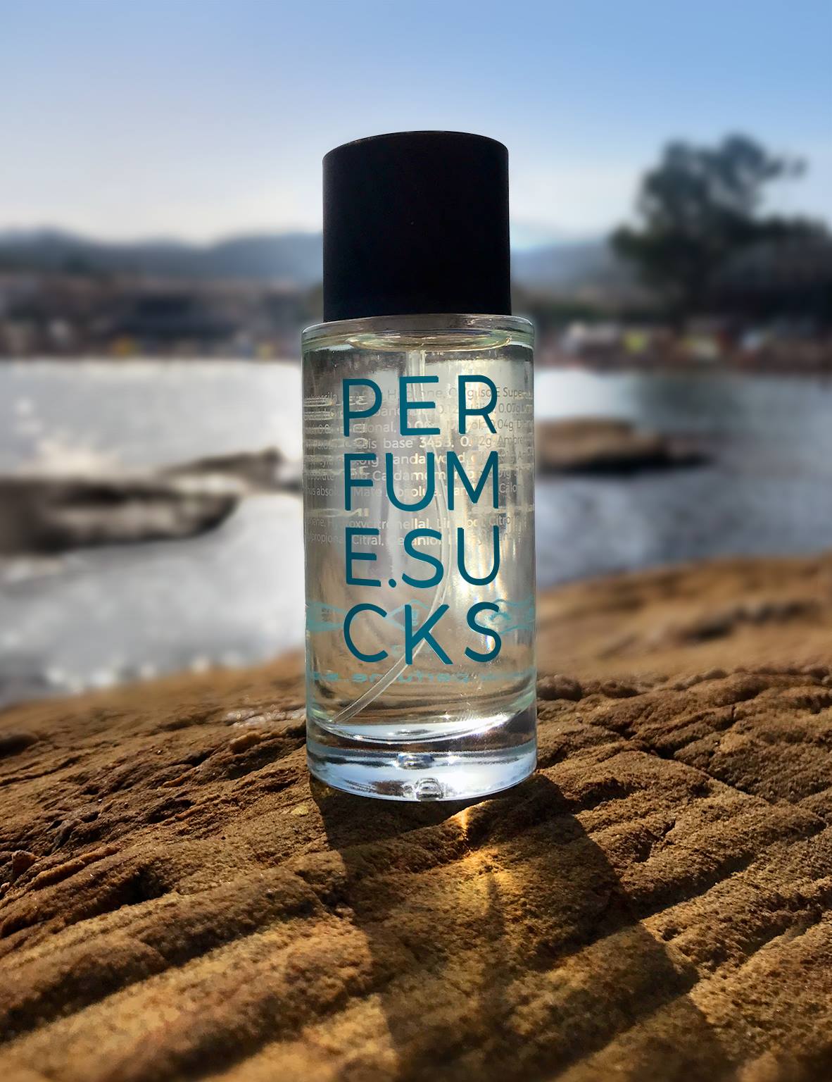 عطر ادکلن بلیو سه هزار و صد و سی و پنج سی پرفیوم ساکس - BLUE 3135C Perfume.Sucks - بررسی، قیمت و خرید