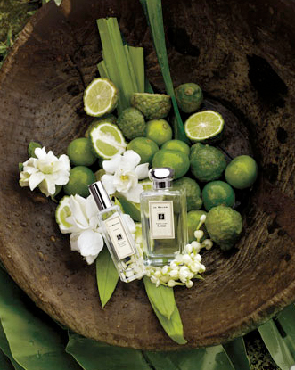 عطر ادکلن سوییت لایم اند سدر جو مالون لندن - Sweet Lime & Cedar Jo Malone London - بررسی، قیمت و خرید