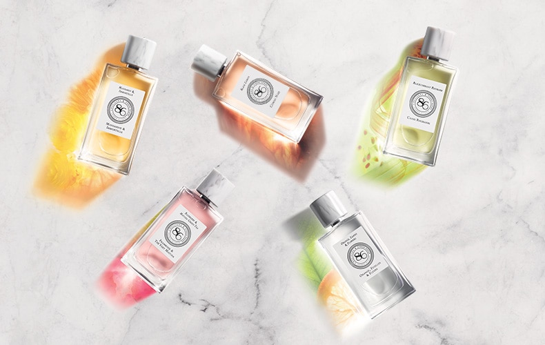 عطر ادکلن بلک کورِنت روبارب لوکسیتان ان پرووانس - Blackcurrant Rhubarb L'Occitane en Provence - بررسی، قیمت و خرید