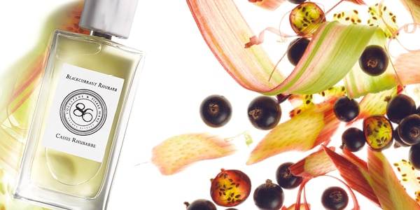 عطر ادکلن بلک کورِنت روبارب لوکسیتان ان پرووانس - Blackcurrant Rhubarb L'Occitane en Provence - بررسی، قیمت و خرید