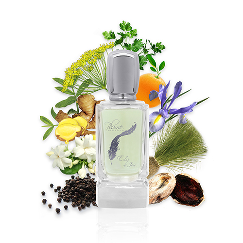 عطر ادکلن ایکلَ د ژُوا پلوم ایمپرشن - Eclat de Joie Plume Impression - بررسی، قیمت و خرید