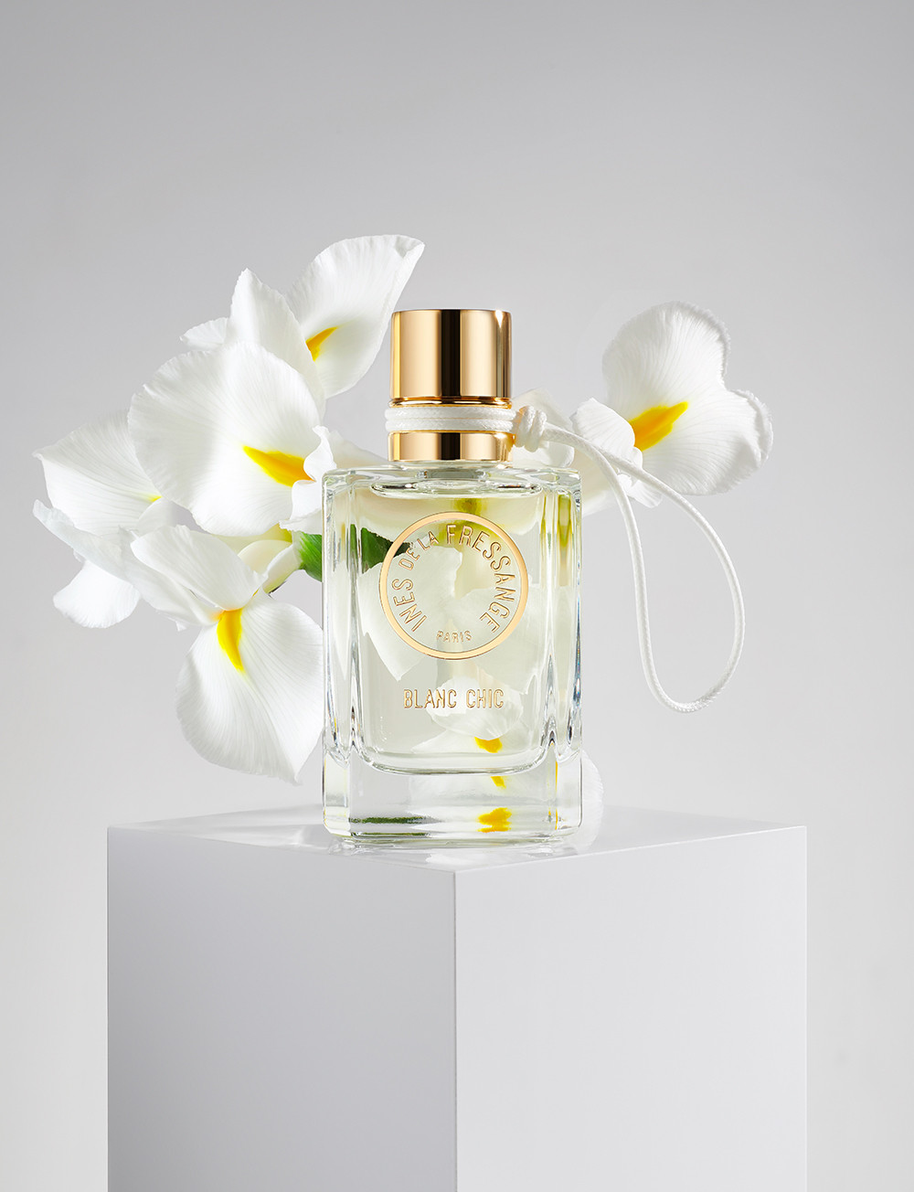 عطر ادکلن بلانک شیک اینس دِ لا فرسانژ - Blanc Chic Ines de la Fressange - بررسی، قیمت و خرید