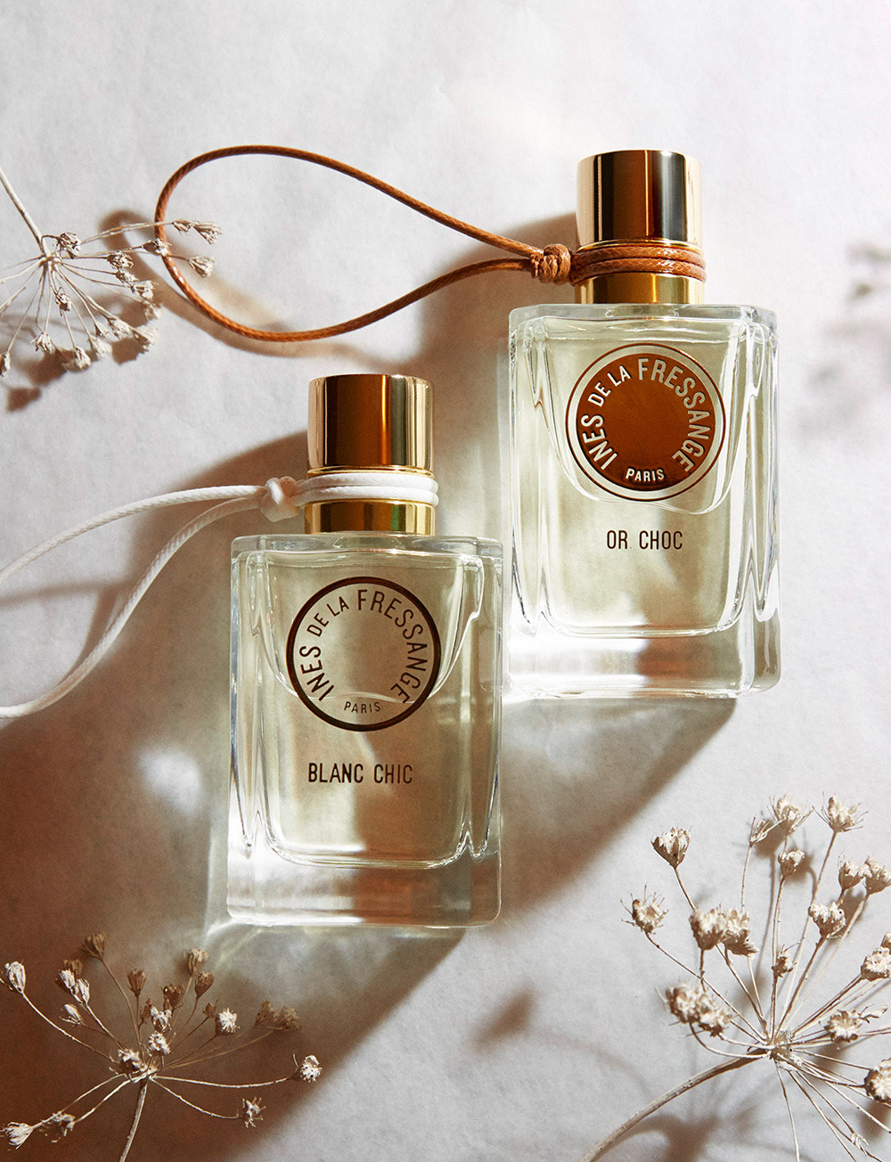 عطر ادکلن بلانک شیک اینس دِ لا فرسانژ - Blanc Chic Ines de la Fressange - بررسی، قیمت و خرید