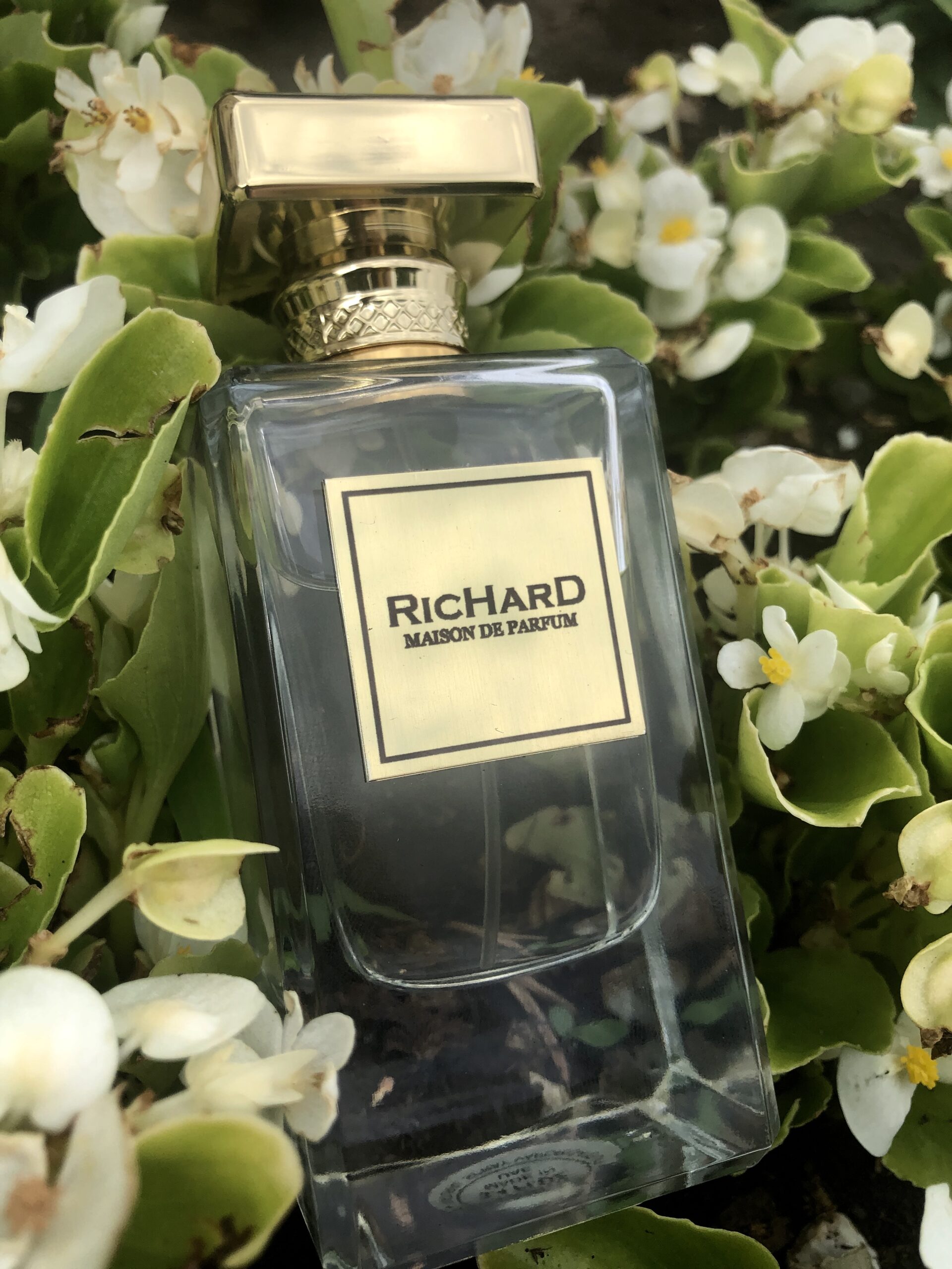 عطر ادکلن ویمِن ریچارد - Women Richard - بررسی، قیمت و خرید