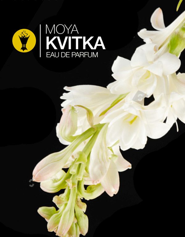عطر ادکلن مویا کویتکا اود فکتوری - Moya Kvitka Oud Factory - بررسی، قیمت و خرید