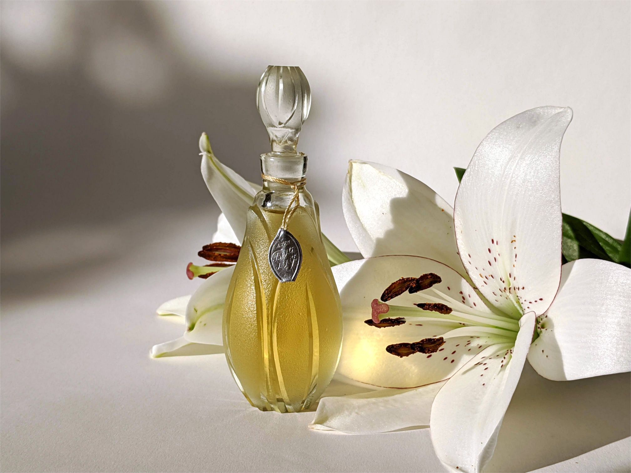 عطر ادکلن بـِلایا لـیلیا لیویو پرفیوم فکتوری - لوویفسکا پارفومرنا فابریکا - Белая лилия - White lily Lviv Perfume Factory - Львівська парфумерна фабрика - بررسی، قیمت و خرید