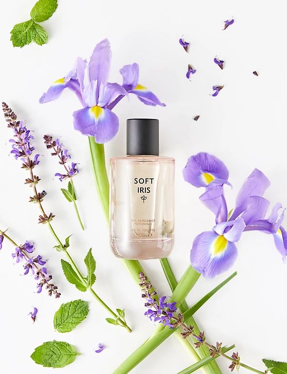 عطر ادکلن سافت آیریس مارکس اند اسپنسر - Soft Iris Marks & Spencer - بررسی، قیمت و خرید