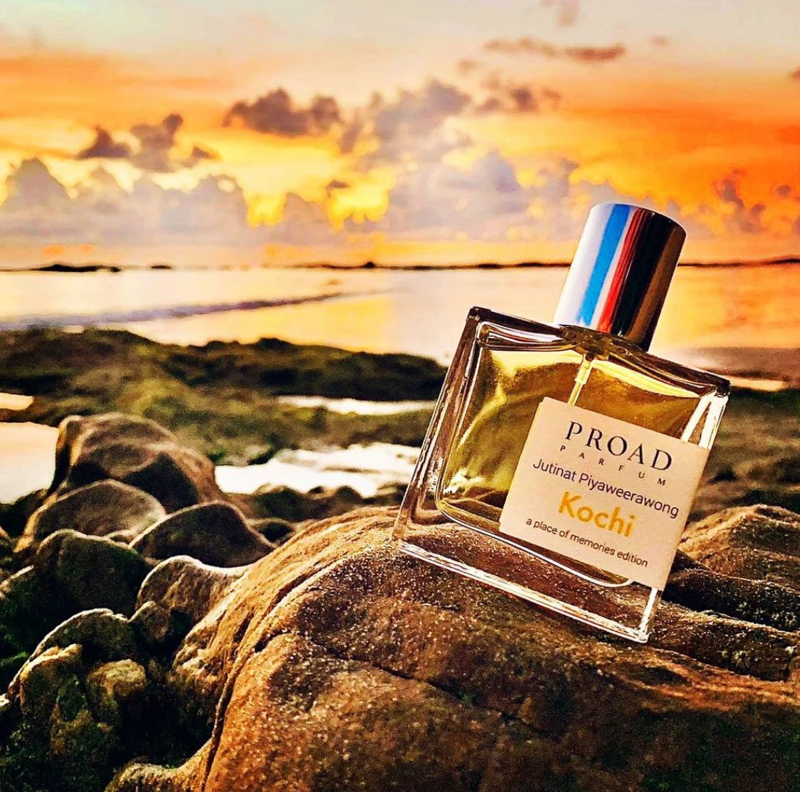 عطر ادکلن کوچی پرواد - Kochi Proad - بررسی، قیمت و خرید