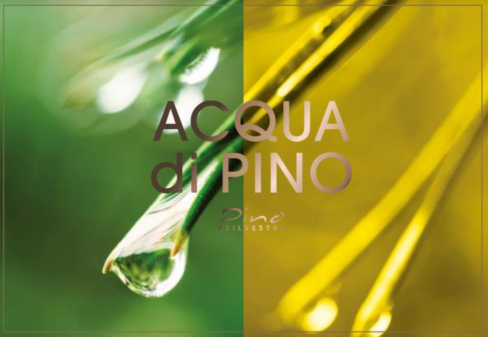 عطر ادکلن آکوا دی پینو فوژر پینو سیلوستر - Acqua di Pino Fougere Pino Silvestre - بررسی، قیمت و خرید