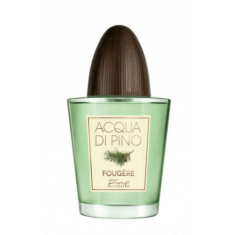 عطر ادکلن آکوا دی پینو فوژر پینو سیلوستر - Acqua di Pino Fougere Pino Silvestre - بررسی، قیمت و خرید