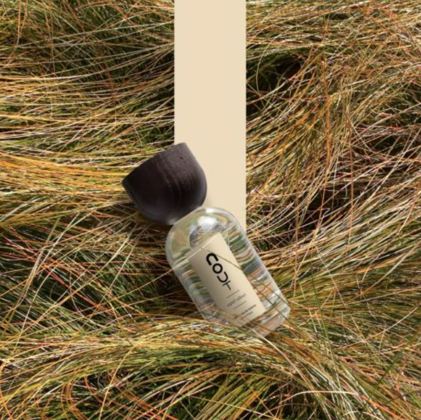 عطر ادکلن اسپری وتیور نوت - Esprit Vétiver Nout - بررسی، قیمت و خرید