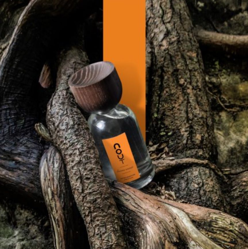 عطر ادکلن داوانا ساواج نوت - Davana Sauvage Nout - بررسی، قیمت و خرید