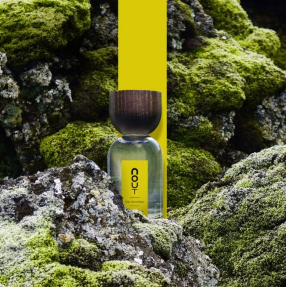 عطر ادکلن تر آروماتیک نوت - Terre Aromatique Nout - بررسی، قیمت و خرید