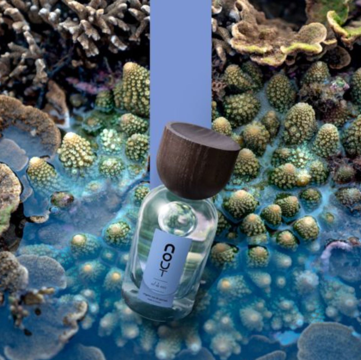 عطر ادکلن سل دو مر نوت - Sel De Mer Nout - بررسی، قیمت و خرید