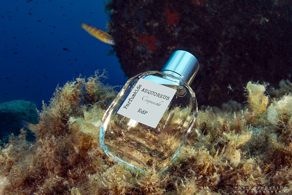 عطر ادکلن آکوریوس کِرِپوسکولو پرفیوماید - Aequoreus Crepuscolo Parfumeide - بررسی، قیمت و خرید