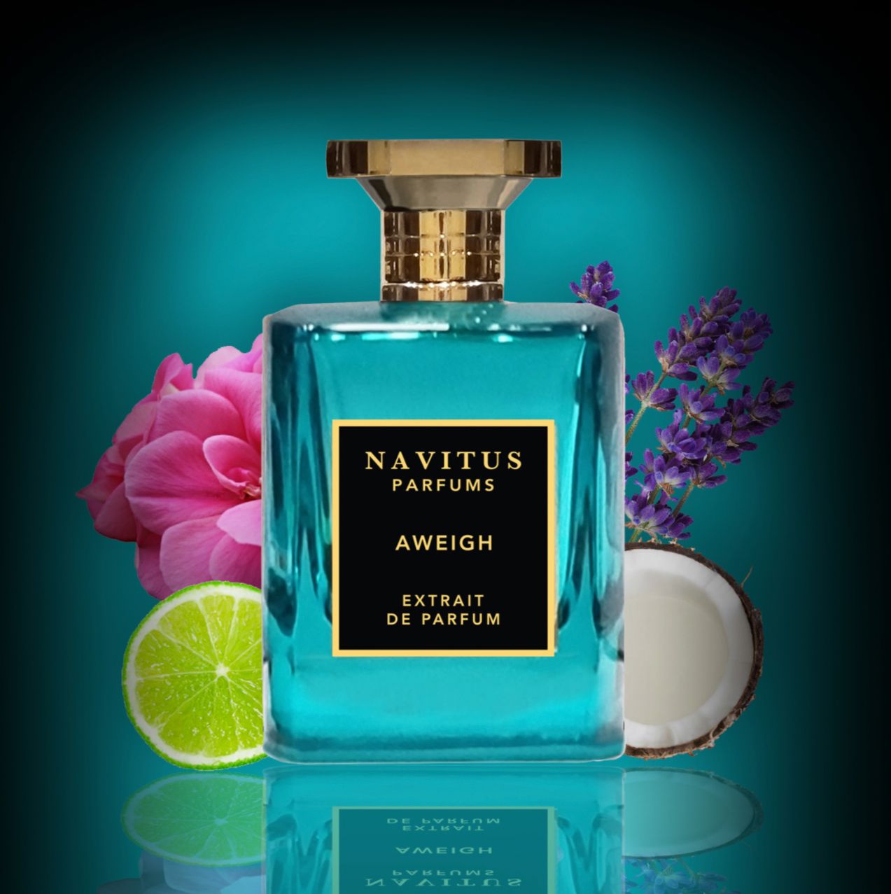 عطر ادکلن اوی نویتوس پرفیومز - Aweigh Navitus Parfums - بررسی، قیمت و خرید