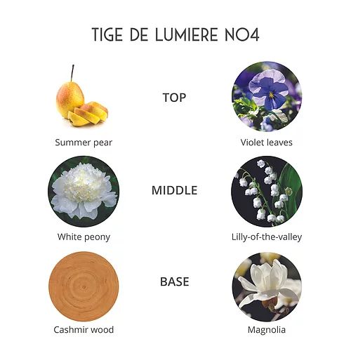 عطر ادکلن تیژ دو لومیر پرفیوم د فوله‌ویل - Tige De Lumiere Parfums de Folleville - بررسی، قیمت و خرید