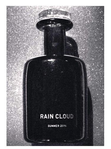 عطر ادکلن رین کلود پرفیومر اچ - Rain Cloud Perfumer H - بررسی، قیمت و خرید