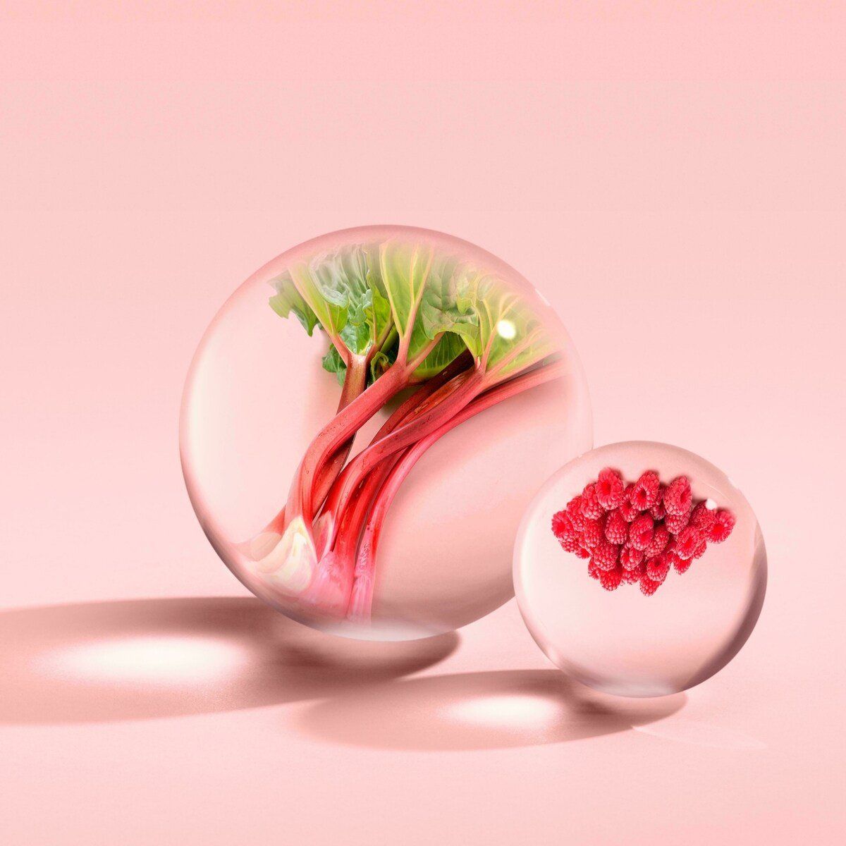 عطر ادکلن دیلیشز رُبارب اند رز اُ دو پرفیوم مالتون براون - Delicious Rhubarb & Rose Eau de Parfum Molton Brown - بررسی، قیمت و خرید