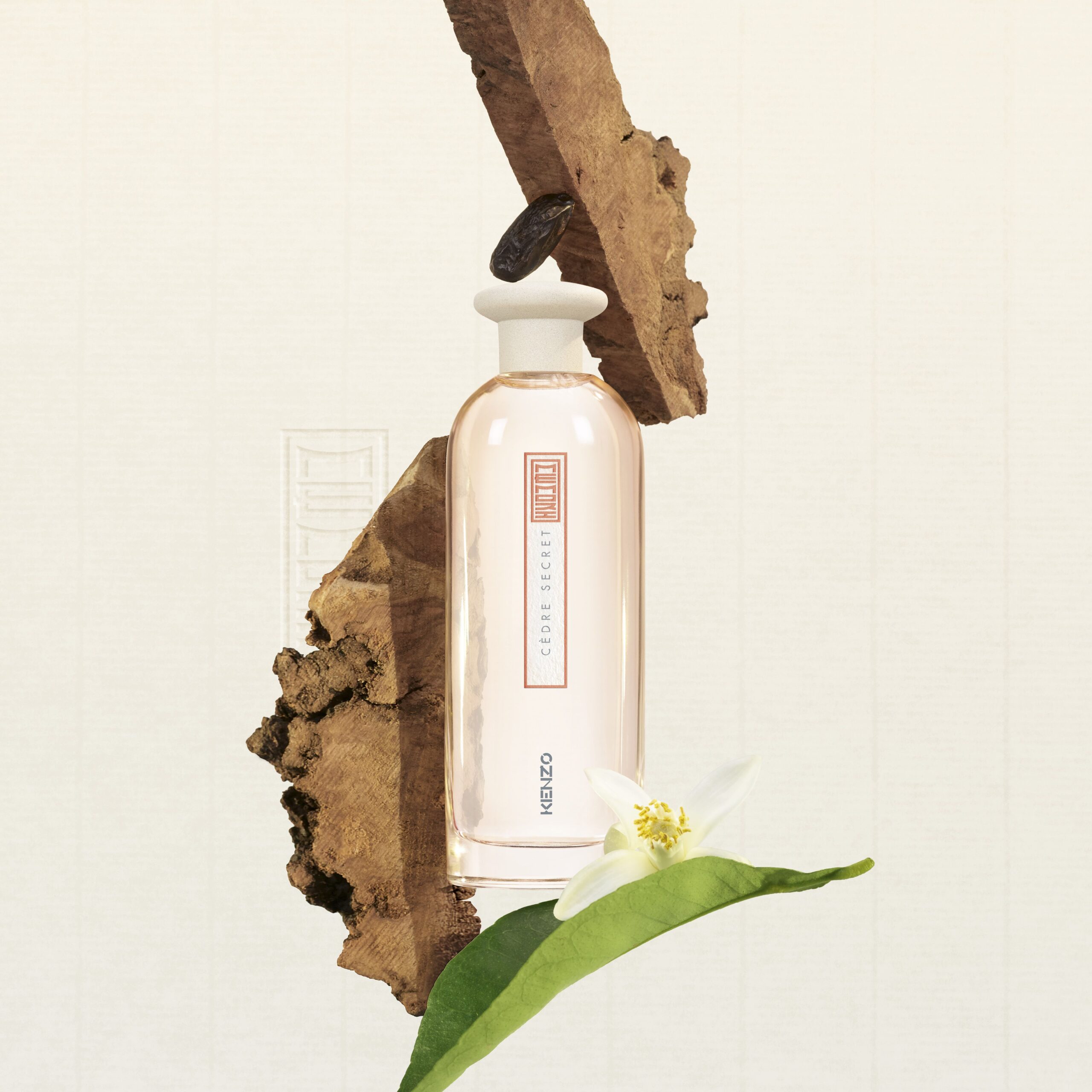 عطر ادکلن سدرا سکرت کنزو - Cèdre Secret Kenzo - بررسی، قیمت و خرید