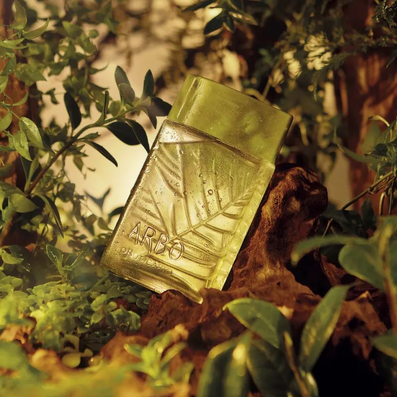 عطر ادکلن آربو فورست او بوتیکاریو - Arbo Forest O Boticário - بررسی، قیمت و خرید