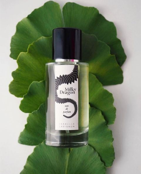 عطر ادکلن میلکی دراگون ایزابل لاریگنون - Milky Dragon Isabelle Larignon - بررسی، قیمت و خرید