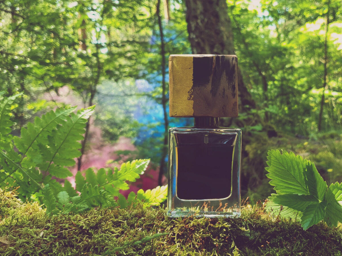 عطر ادکلن فایند می این د دارک ژوسه پرفیومز - Find Me In The Dark Jousset Parfums - بررسی، قیمت و خرید