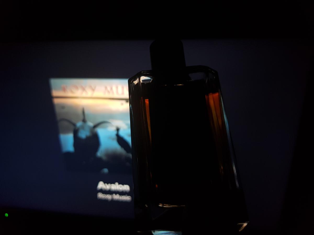 عطر ادکلن نوآر تروپیکال ماريا كانديدا جنتيله - Noir Tropical Maria Candida Gentile - بررسی، قیمت و خرید