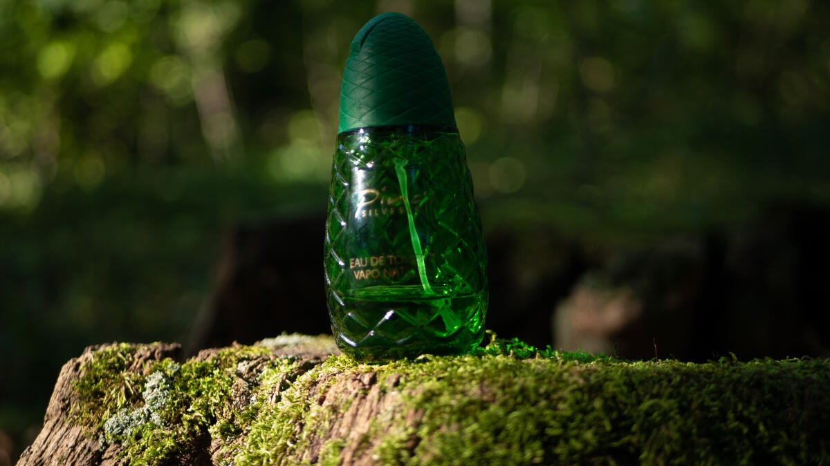 عطر ادکلن پینو سیلوستره اوریجینال پینو سیلوستره - Pino Silvestre Original Pino Silvestre - بررسی، قیمت و خرید