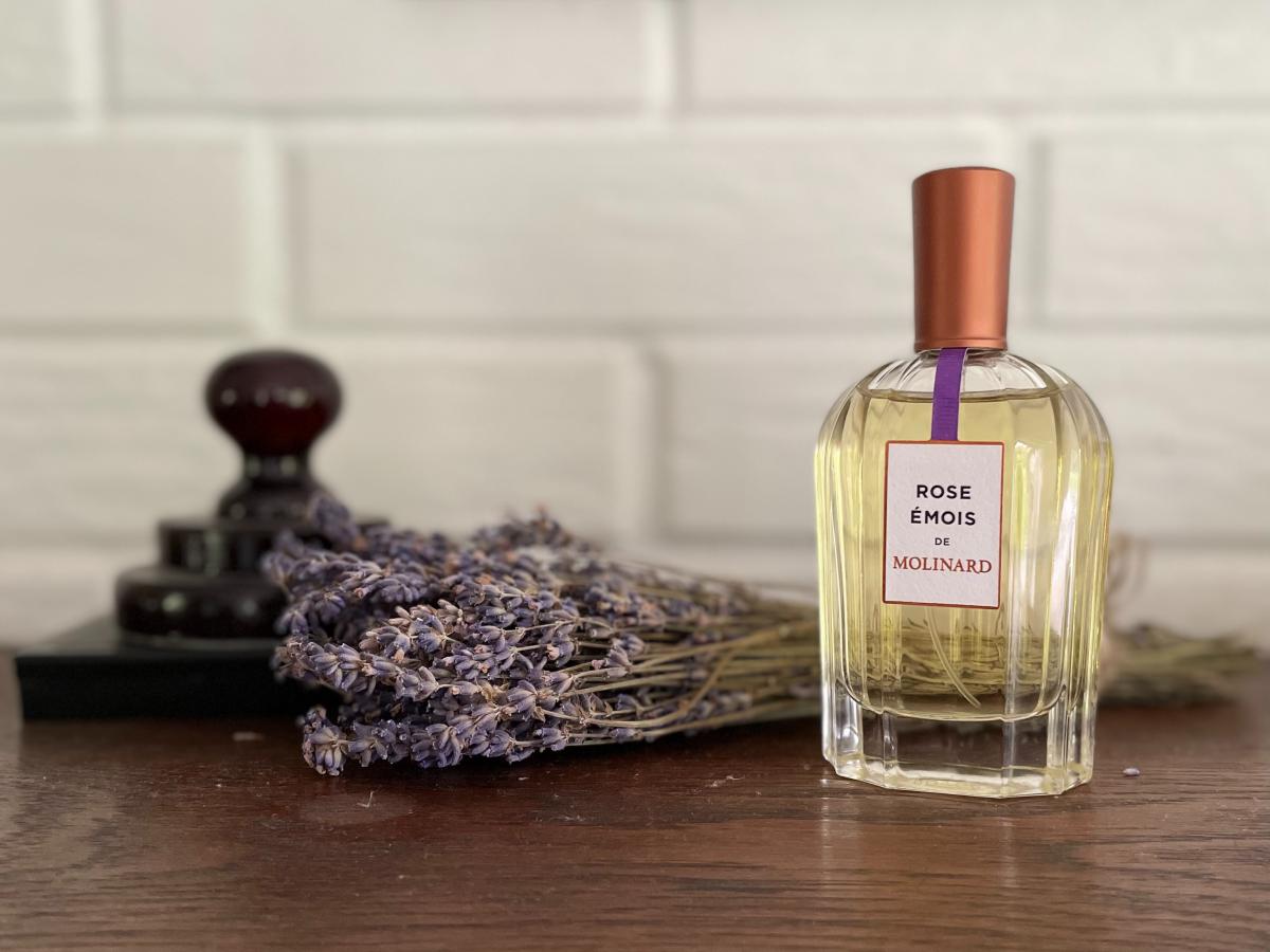عطر ادکلن رز اموا مولینارد - Rose Émois Molinard - بررسی، قیمت و خرید