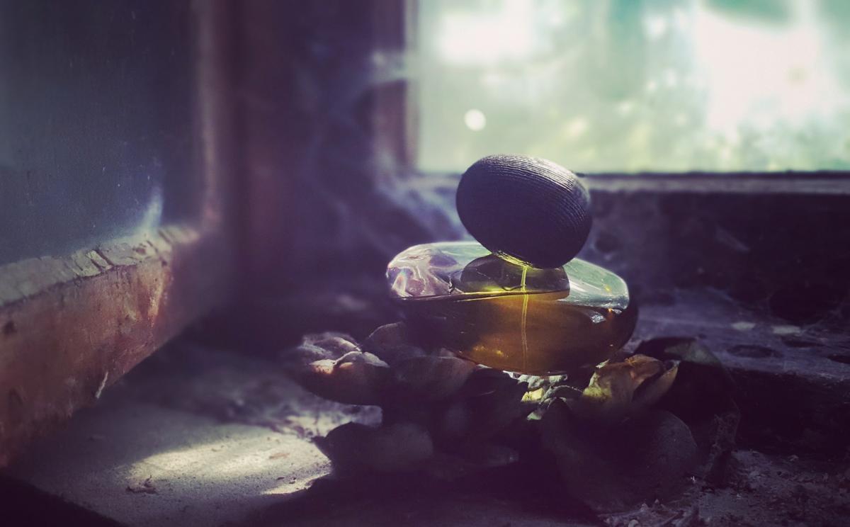 عطر ادکلن تندر است لا نویی مجدا بقالی - Tendre est la Nuit Majda Bekkali - بررسی، قیمت و خرید