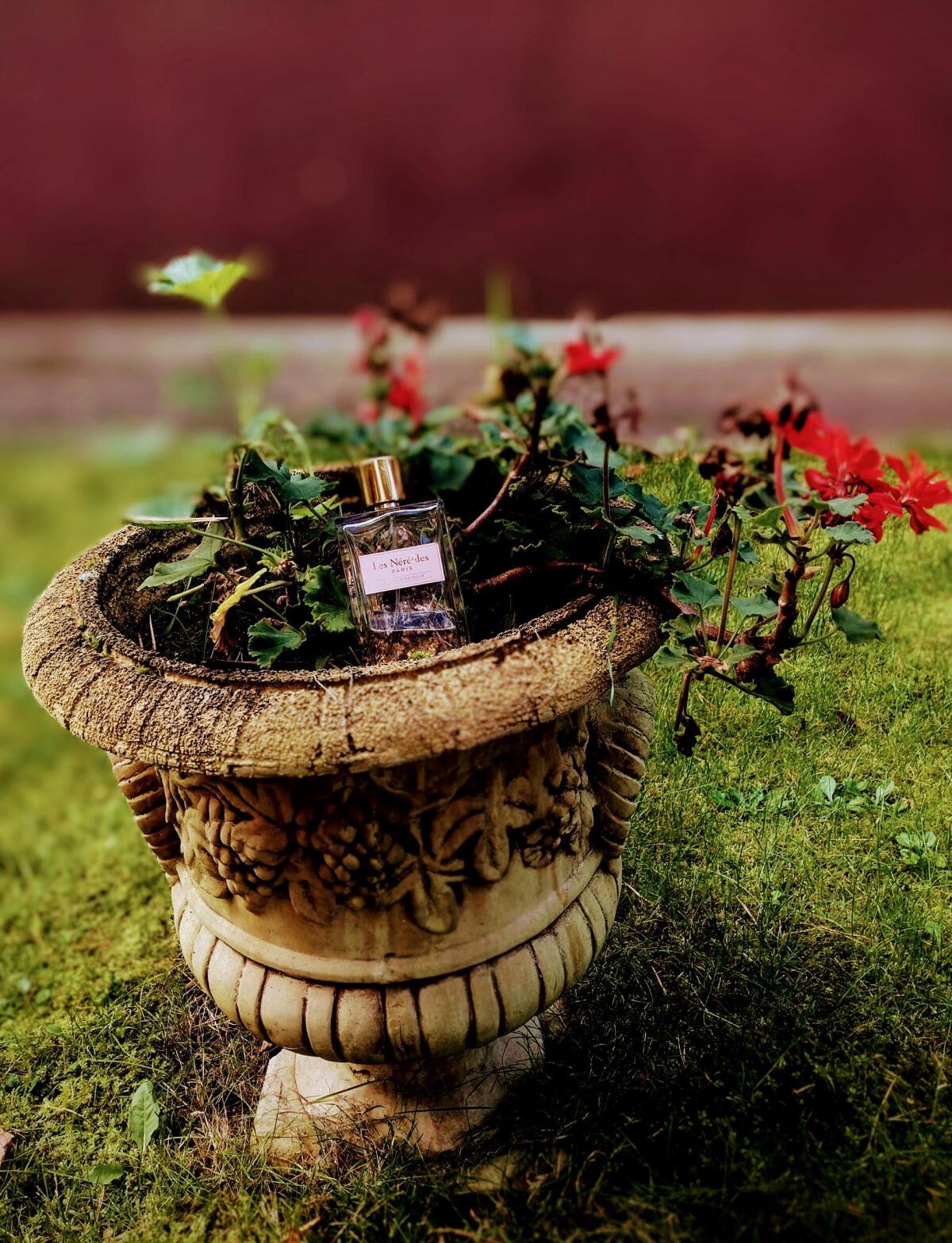 عطر ادکلن اِتوال دورَنجِر لز نریید - Etoile d'Oranger Les Nereides - بررسی، قیمت و خرید