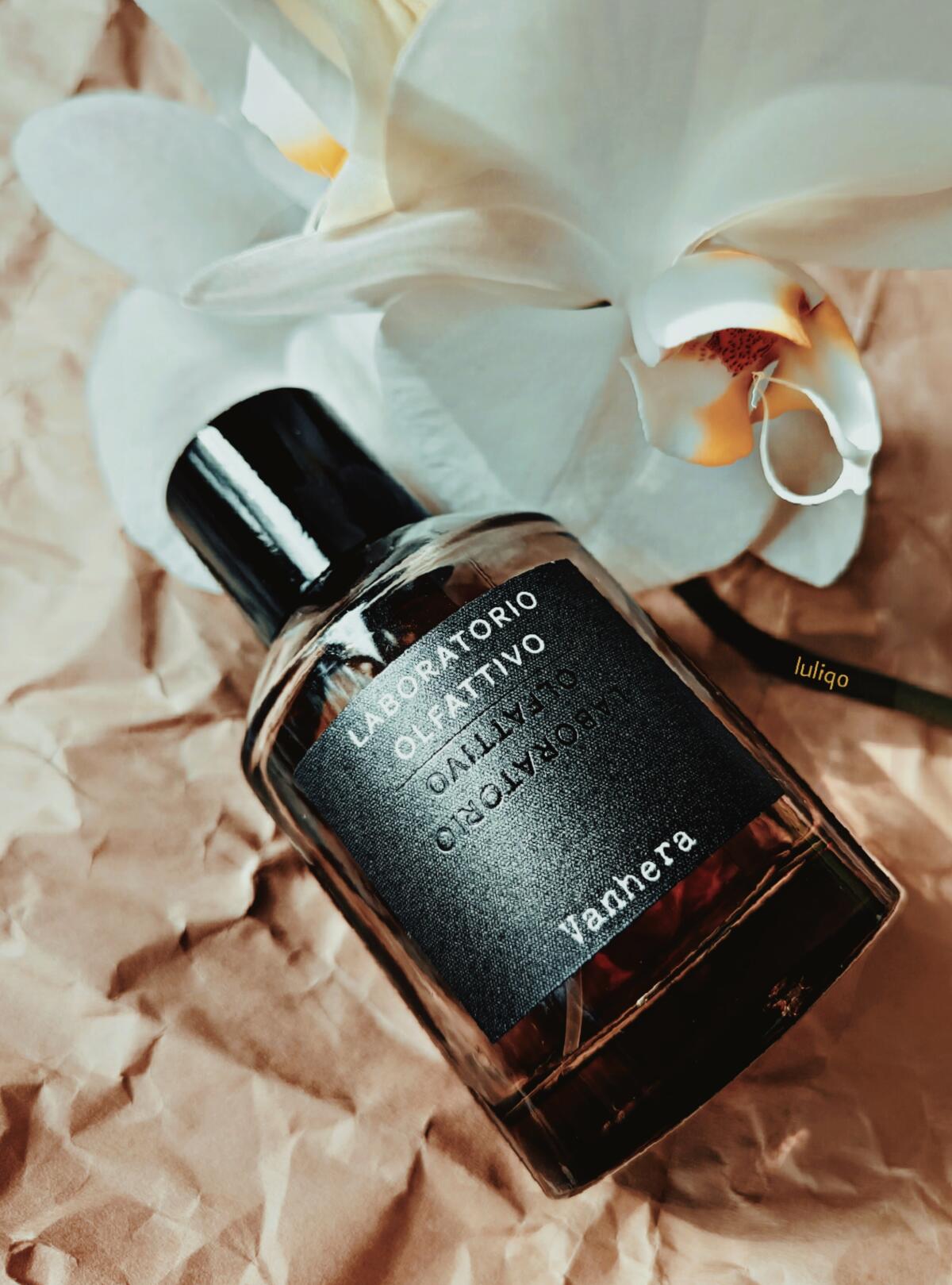 عطر ادکلن ونرا لابوراتوریو الفاتیوو - Vanhera Laboratorio Olfattivo - بررسی، قیمت و خرید