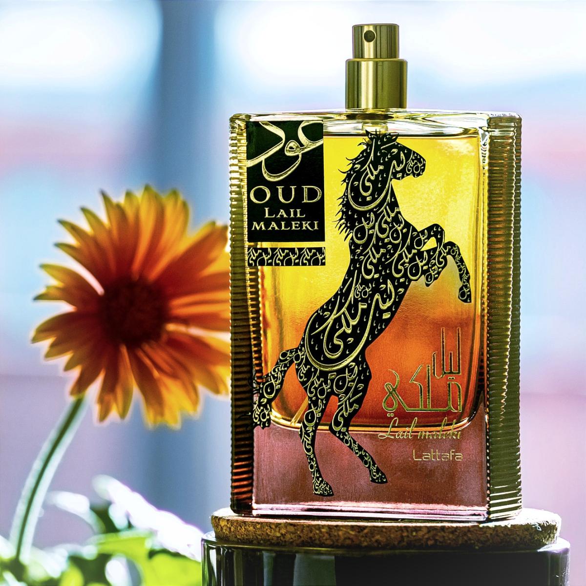 عطر ادکلن عود لیل ملکی لطافه پرفیومز - Oud Lail Maleki Lattafa Perfumes - بررسی، قیمت و خرید