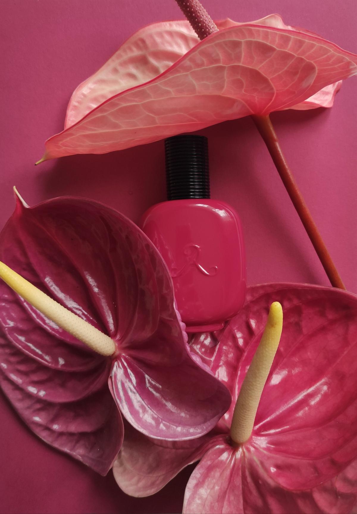 عطر ادکلن بوا فوشیا له پارفوم د روزین - Bois Fuchsia Les Parfums de Rosine - بررسی، قیمت و خرید