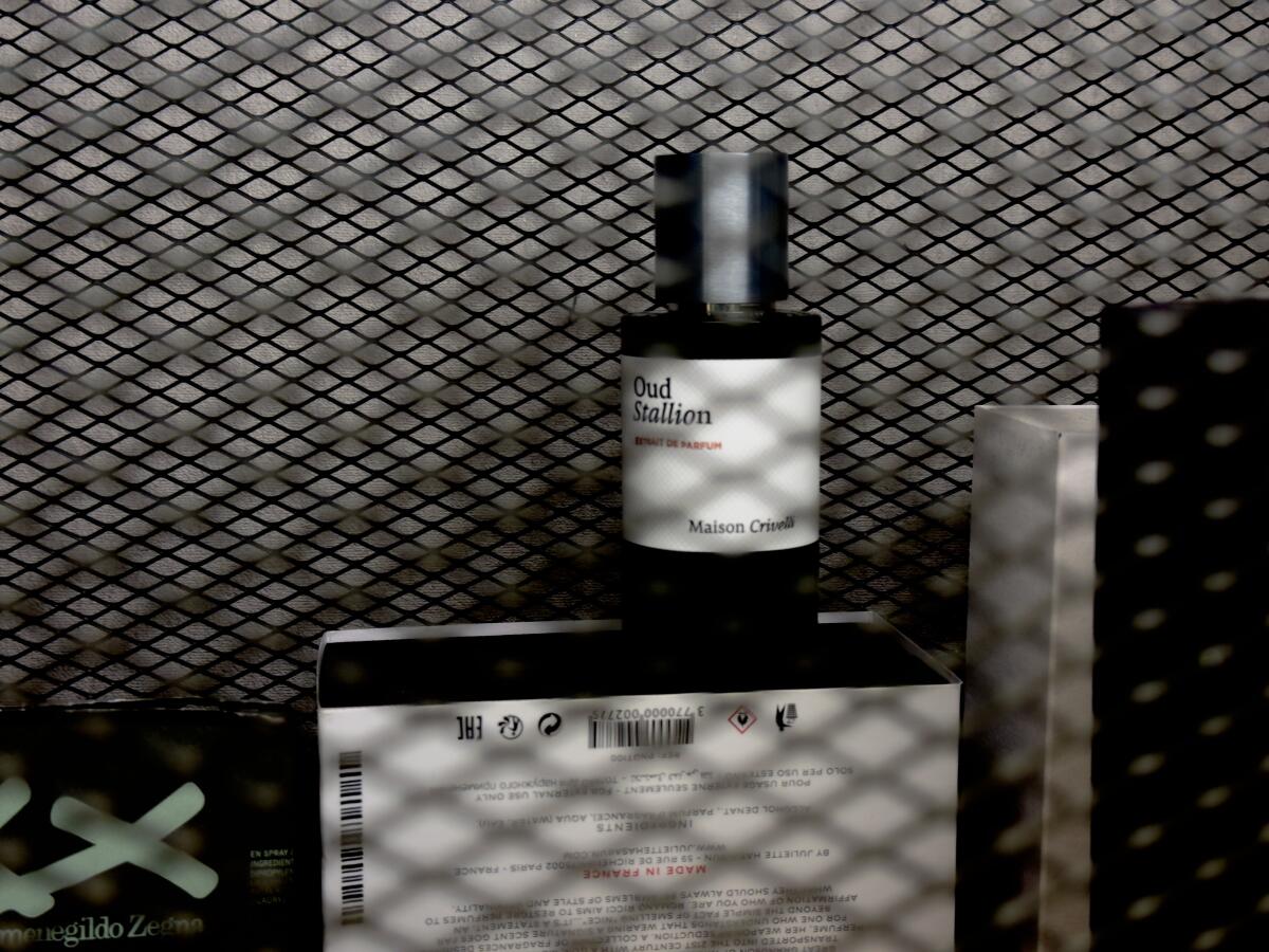 عطر ادکلن اود استالیون میزون کریولی - Oud Stallion Maison Crivelli - بررسی، قیمت و خرید