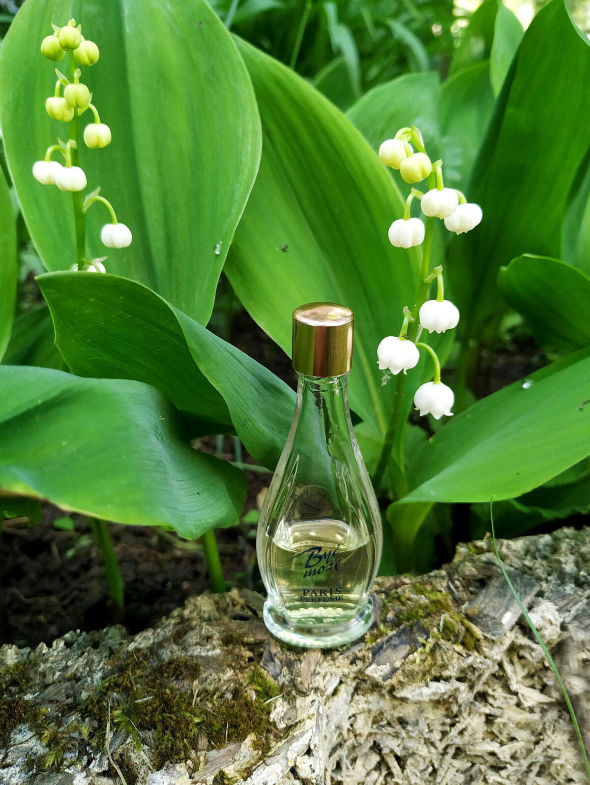 عطر ادکلن بایک موژه...پاریز میراکولوم - Byc Moze...Pariz Miraculum - بررسی، قیمت و خرید
