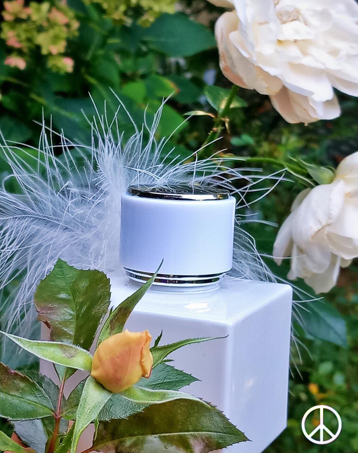 عطر ادکلن وایت نارسیس کلسی بروین - White Narcisse Kelsey Berwin - بررسی، قیمت و خرید