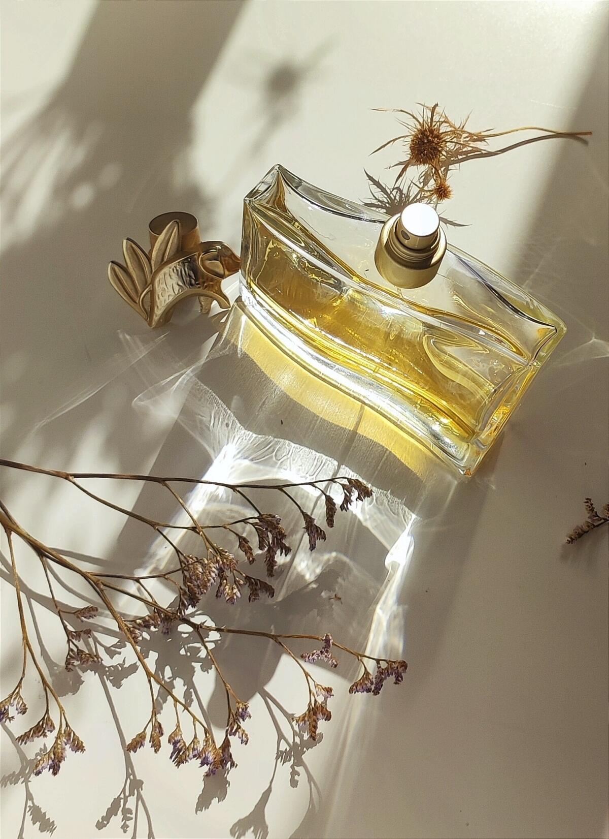 عطر ادکلن کنزو جانگل ل'الفنت کنزو - Kenzo Jungle L'Elephant Kenzo - بررسی، قیمت و خرید