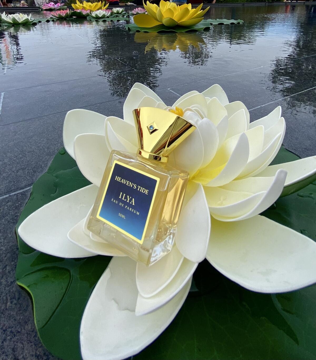 عطر ادکلن هیونز تاید ایلیا پارفومز - Heaven’s Tide Ilya Parfums - بررسی، قیمت و خرید
