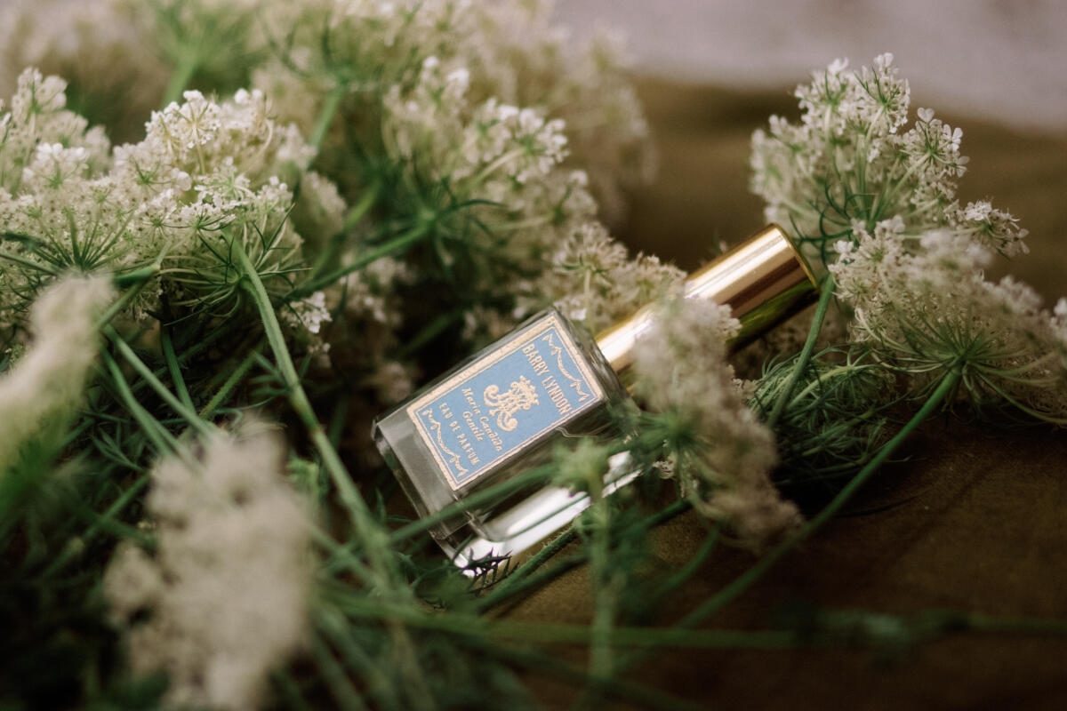 عطر ادکلن بری لیندون ماریا کاندیدا جنتیله - Barry Lyndon Maria Candida Gentile - بررسی، قیمت و خرید