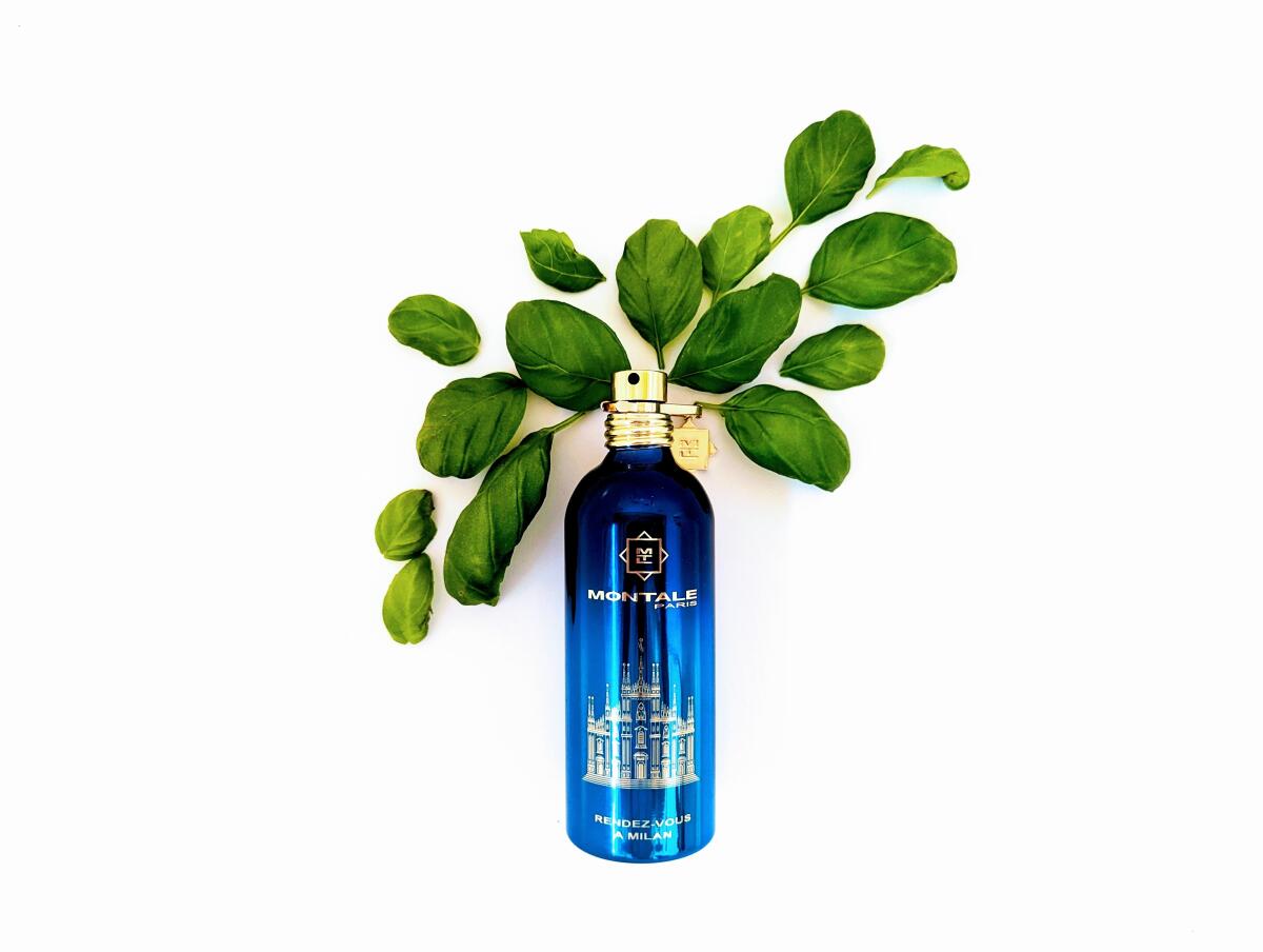 عطر ادکلن رانده وو به میلان مونتال - Rendez-vous à Milan Montale - بررسی، قیمت و خرید