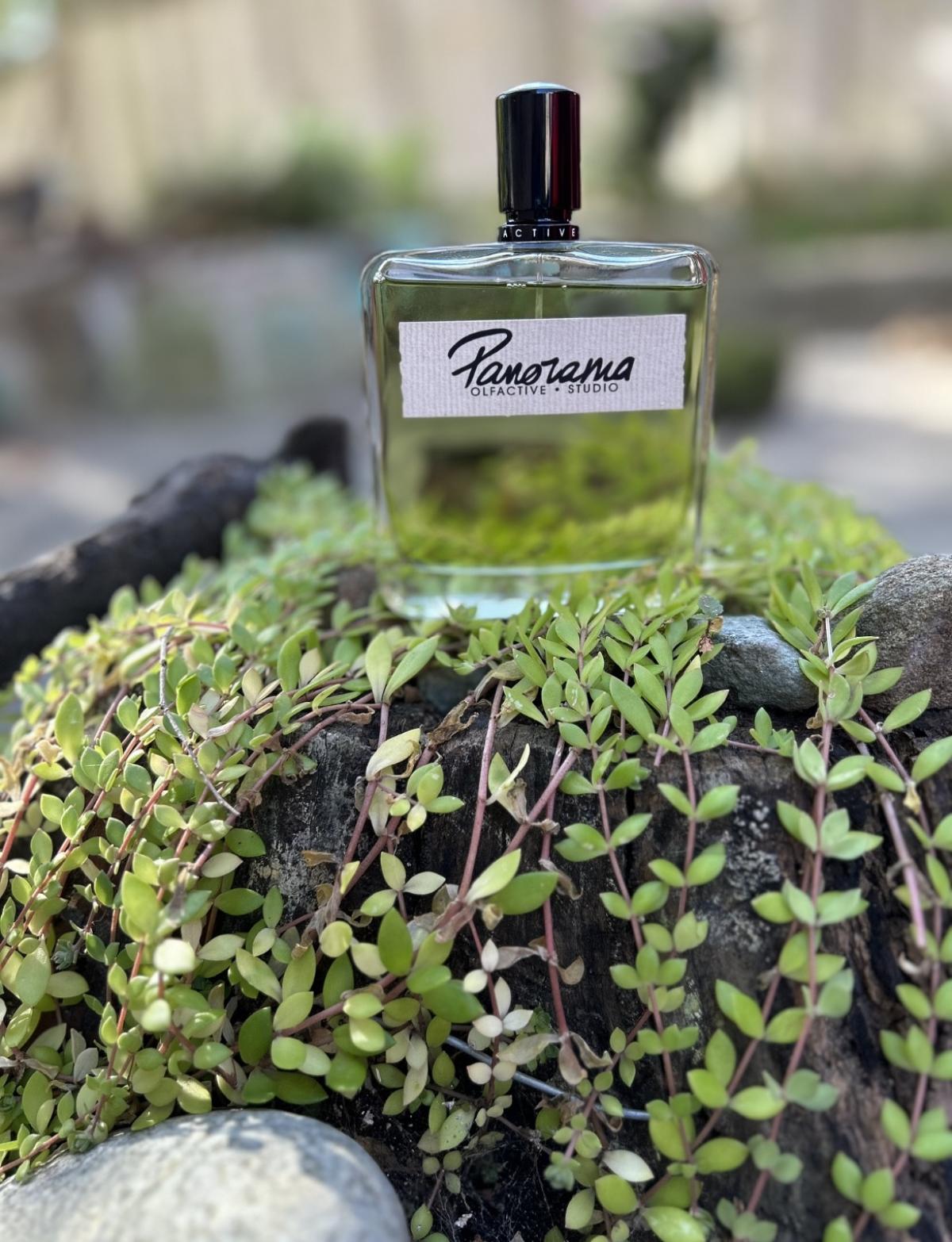عطر ادکلن پانوراما اولفکتیو استودیو - Panorama Olfactive Studio - بررسی، قیمت و خرید